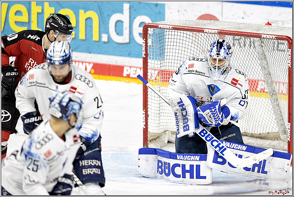 PENNY DEL;  Koelner Haie - ERC Ingolstadt; Koeln, 03.04.2022